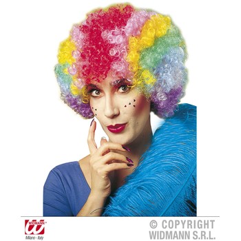 Widmann Peruca Clown multicolora