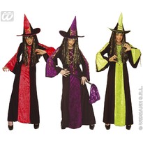 Costum Vrajitoare Castle Witch