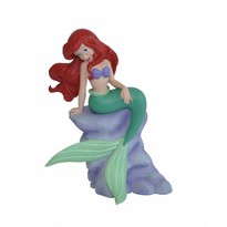 Ariel pe stanca