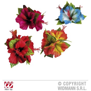 Widmann Clama Hawaii hibiscus