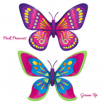 Set 2 bucati Fluturasul magic - Pink Princess si Green Tip