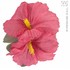 Widmann Clama Hawaii roz