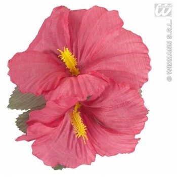 Widmann Clama Hawaii roz
