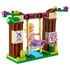 LEGO ® Cea mai frumoasa zi a lui Rapunzel