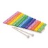 New Classic Toys Xilofon Lemn 12 note colorate