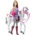 Mattel Papusa Barbie Cu Calut  - BRB Horse And Doll