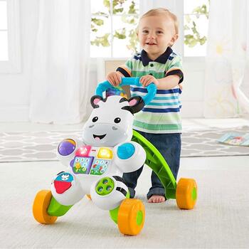 Fisher-Price Premergator by Mattel Infant Zebra