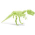 Brainstorm Toys Schelet T-Rex reflectorizant