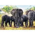 Puzzle Trefl 1000 Elefanti Africani