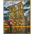 Simba Kit Pictura Pe Numere Schipper Catedrala Notre Dames