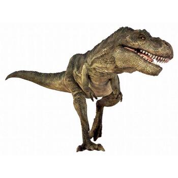Natural History Museum Diapozitive - Dinozauri