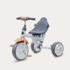 Tricicleta cu sezut reversibil Coccolle Evo 2019 Bej