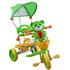 Arti Tricicleta 290C - verde