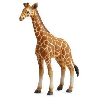 Collecta Figurina Pui de Girafa L