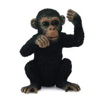 Cimpanzeu Pui - pozitie ganditor