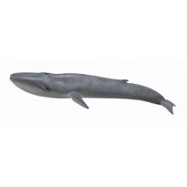 Balena Albastra