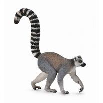 Lemur cu coada-inel