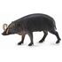 Collecta Figurina Porc Sulawesi Babirusa L