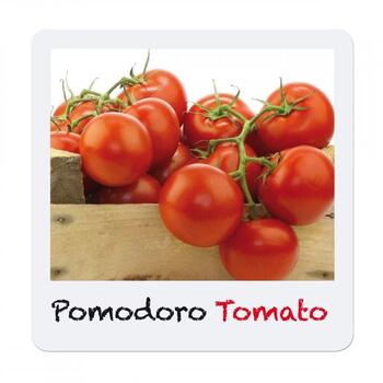 Quercetti Joc Micul Gradinar Cultiva Tomate