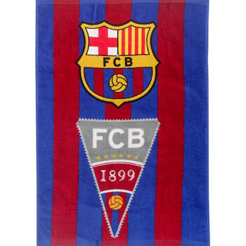 Prosop fata FC Barcelona 40x60 cm SunCity CBX2001FCB