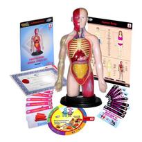 Kit educational mulaj Corpul uman si sistemul digestiv