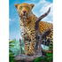 Puzzle Trefl 500 Leopard In Savana