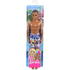 Mattel Papusa Ken Afroamerican Cu Costum De Baie Multicolor