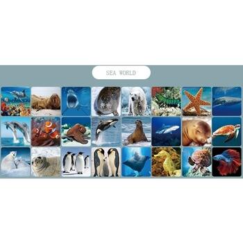 Proiector cu suport, 3 diapozitive Animale Marine Bambinice BN027