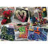 Ravensburger Puzzle Flori In New York, 1000 Piese