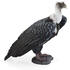 Mojo Figurina Vultur Grifon