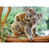 Ravensburger Puzzle Koala, 200 Piese