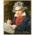Simba Kit Pictura Pe Numere Schipper Ludwig Van Beethoven