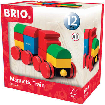BRIO Tren Magnetic